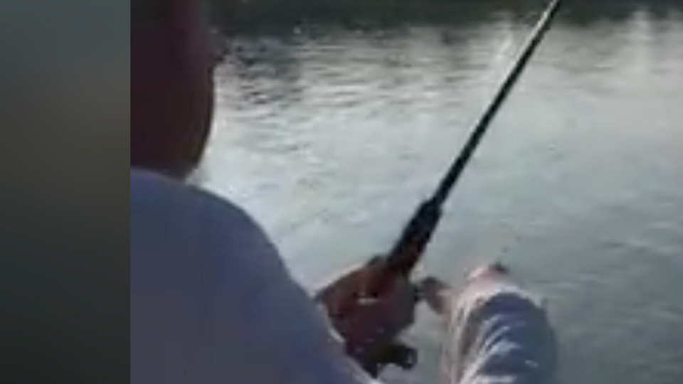 Pops on them Reds
